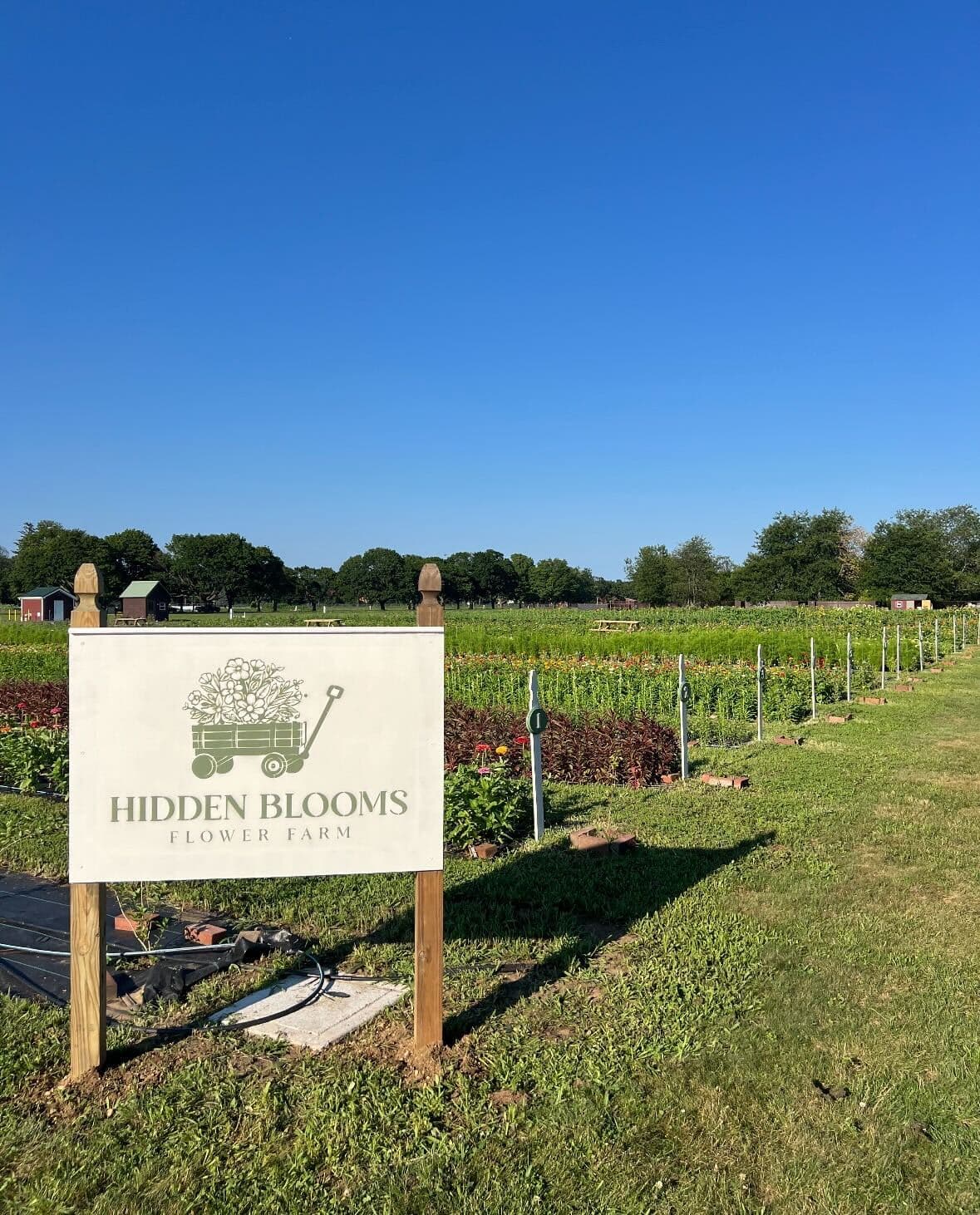 The Farm Stand